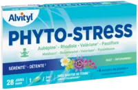 Govital Phyto-stress 28 Gélules à TOUCY
