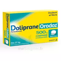 Dolipraneorodoz 500 Mg, Comprimé Orodispersible à TOUCY